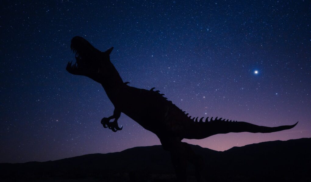 silhouette of dinosaur on night sky