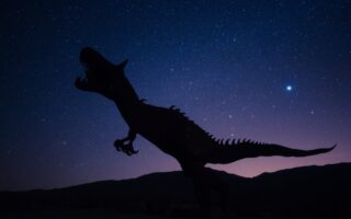 silhouette of dinosaur on night sky