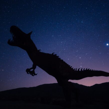 silhouette of dinosaur on night sky