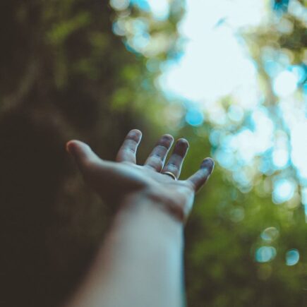 crop person outstretching hand in forest