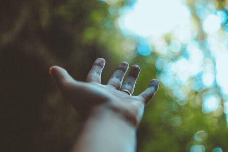 crop person outstretching hand in forest