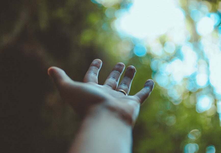 crop person outstretching hand in forest