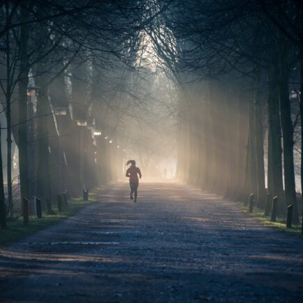 person running near street between tall trees