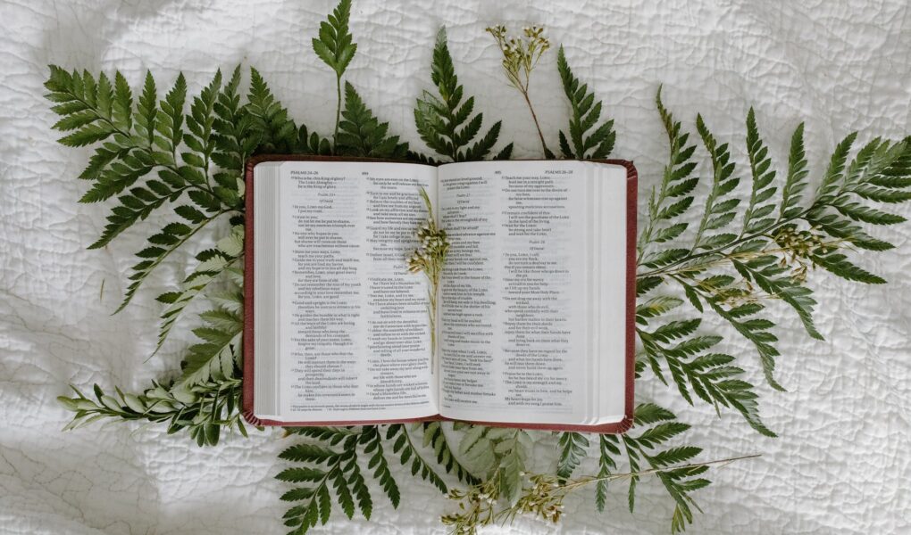 the book of psalms in the bible