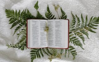 the book of psalms in the bible